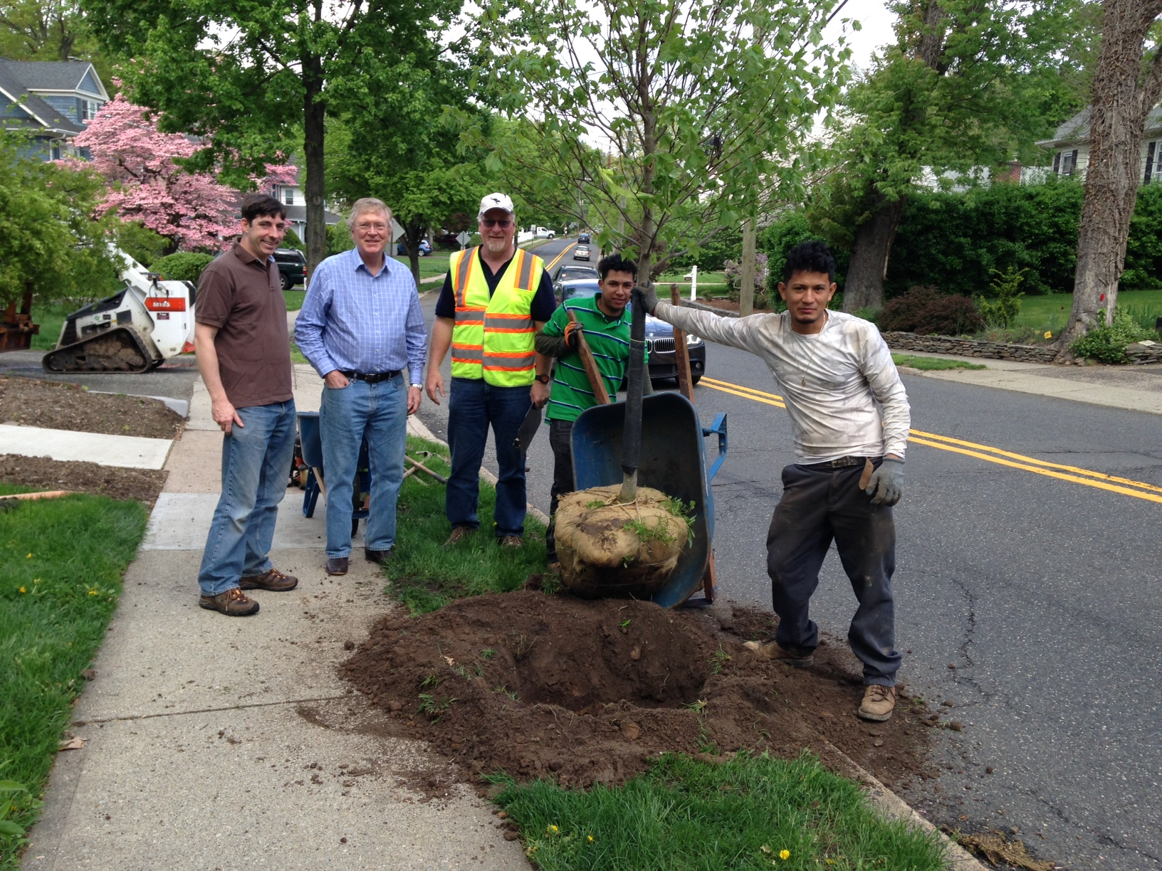 Village Adopt-A-Tree Program